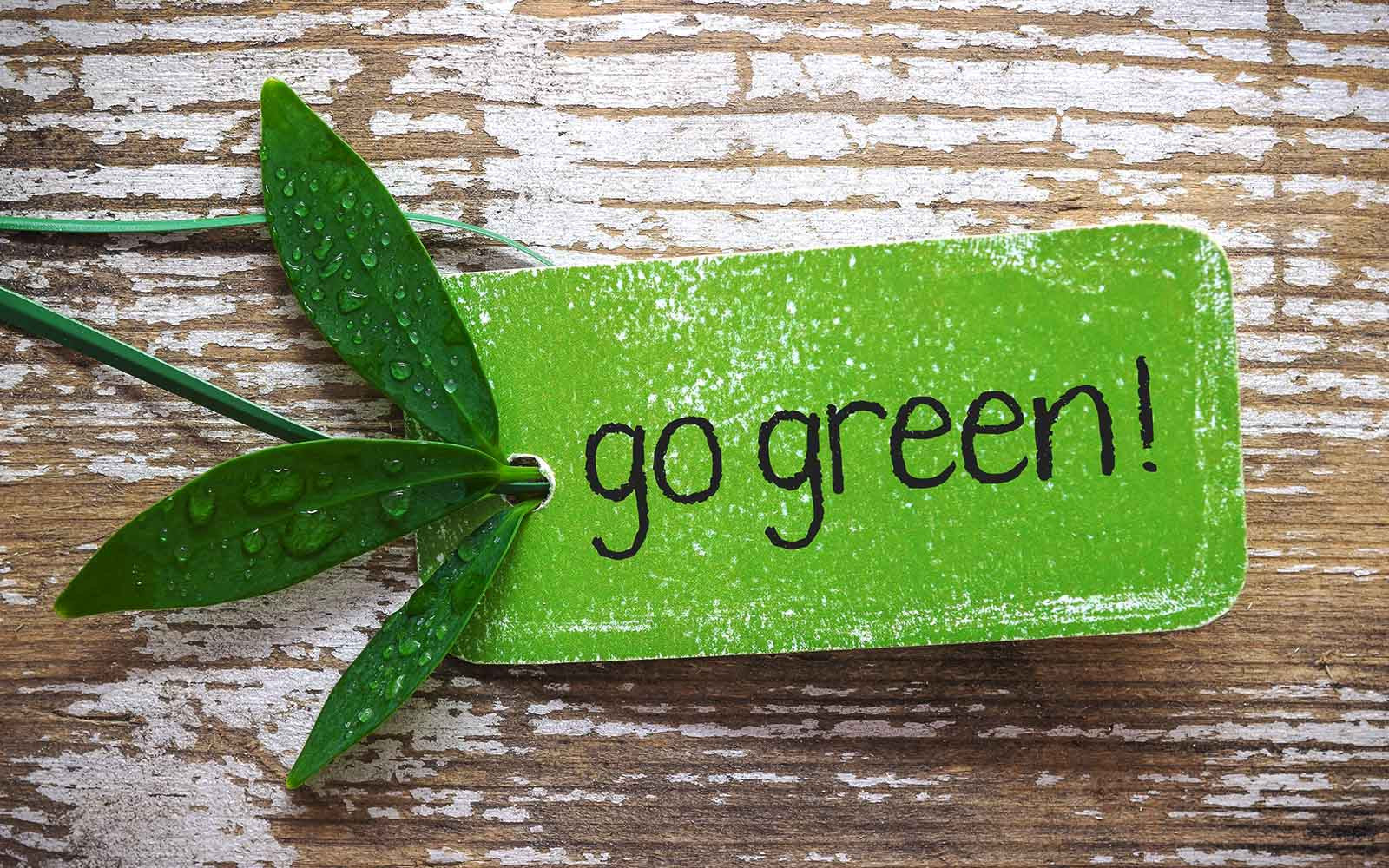 It’s Easy Being Green