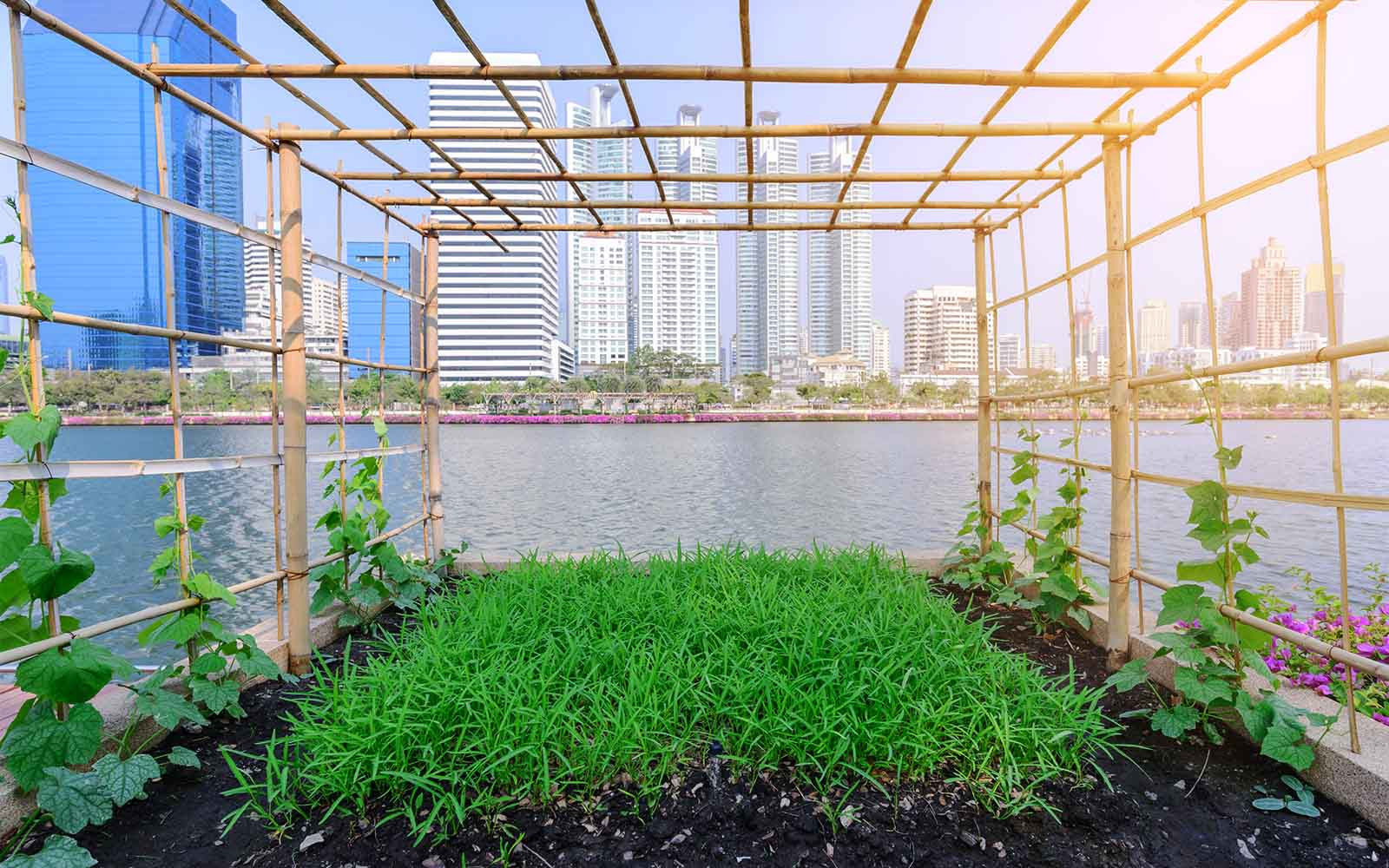 Impressive Urban Farms Around the World