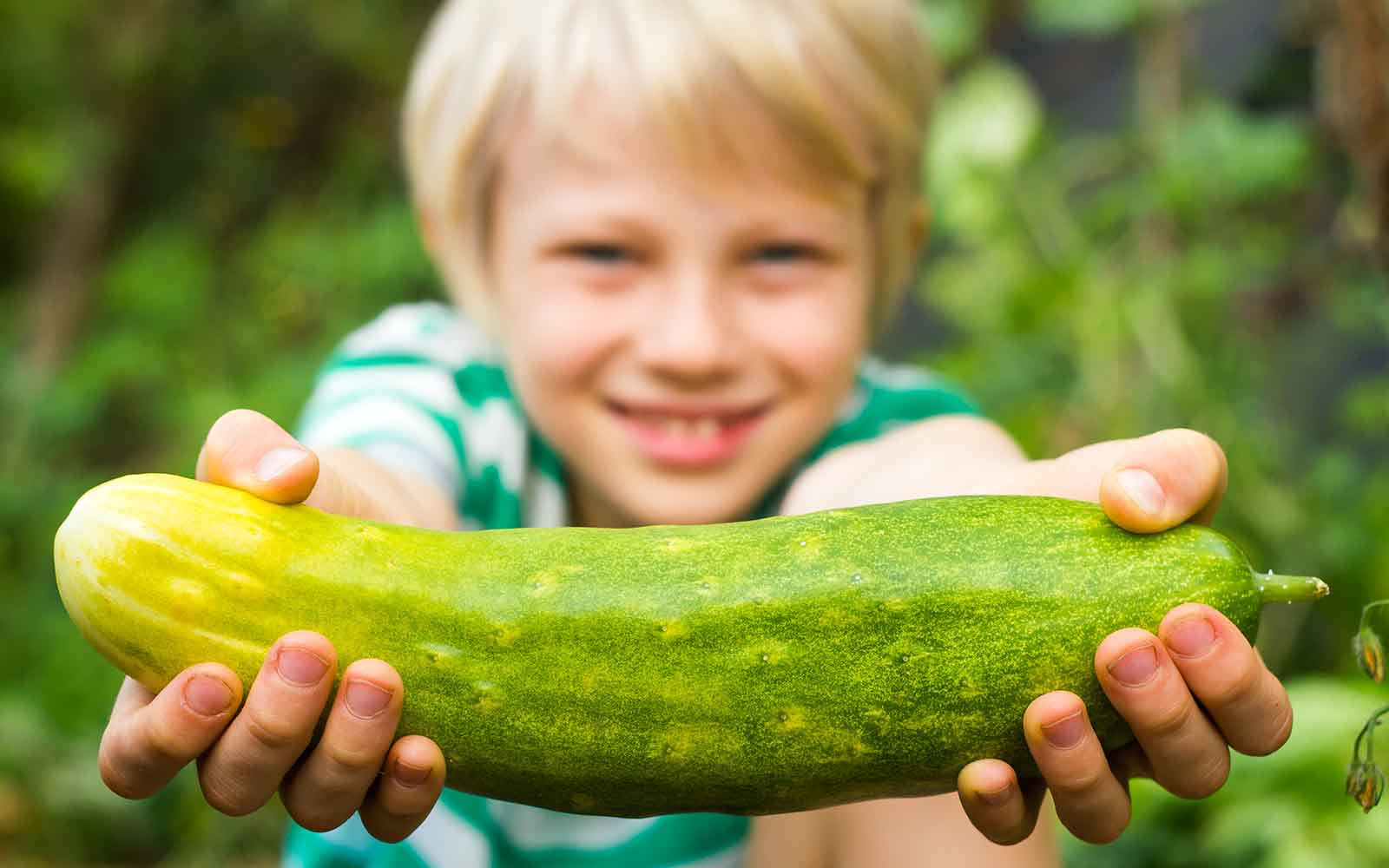 Grow Food in Small Spaces