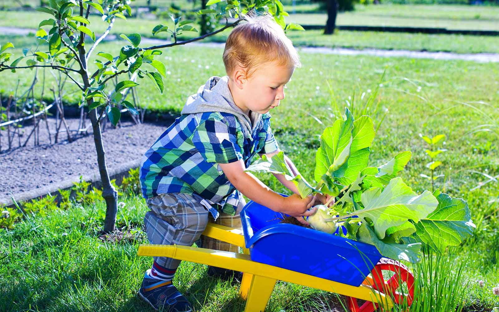 The Benefits of Growing Your Own Food