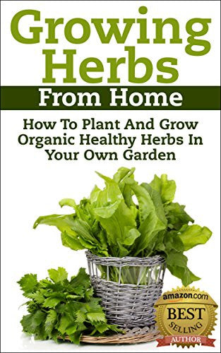 Growing Herbs From Home - EarthCitizen
