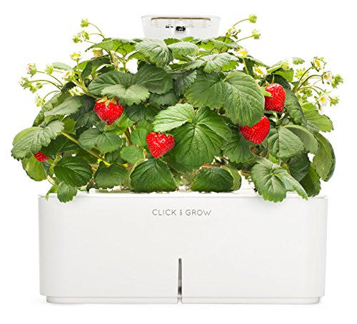 Click & Grow Smartpot Strawberry Indoor Grow Kit with LED Grow Light - EarthCitizen
 - 1
