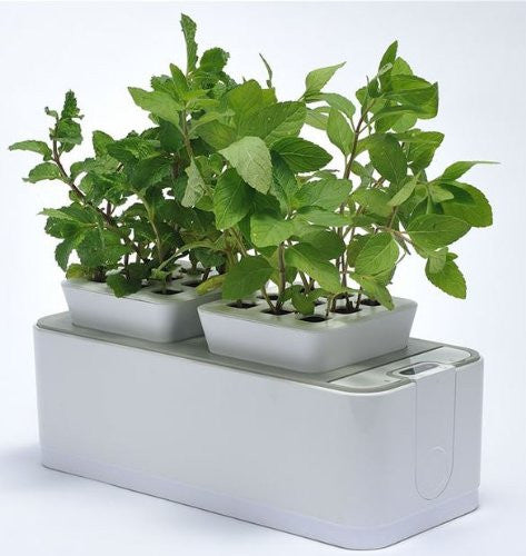 ZeroSoil Mini Indoor Garden - Self Watering Planter and Indoor Herb Garden - EarthCitizen
 - 1