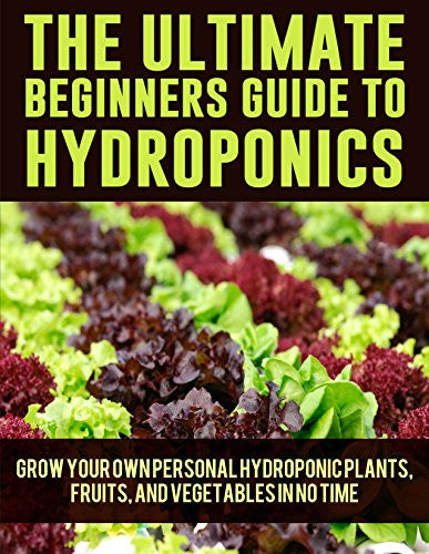 The Ultimate Beginners Guide to Hydroponics - EarthCitizen
