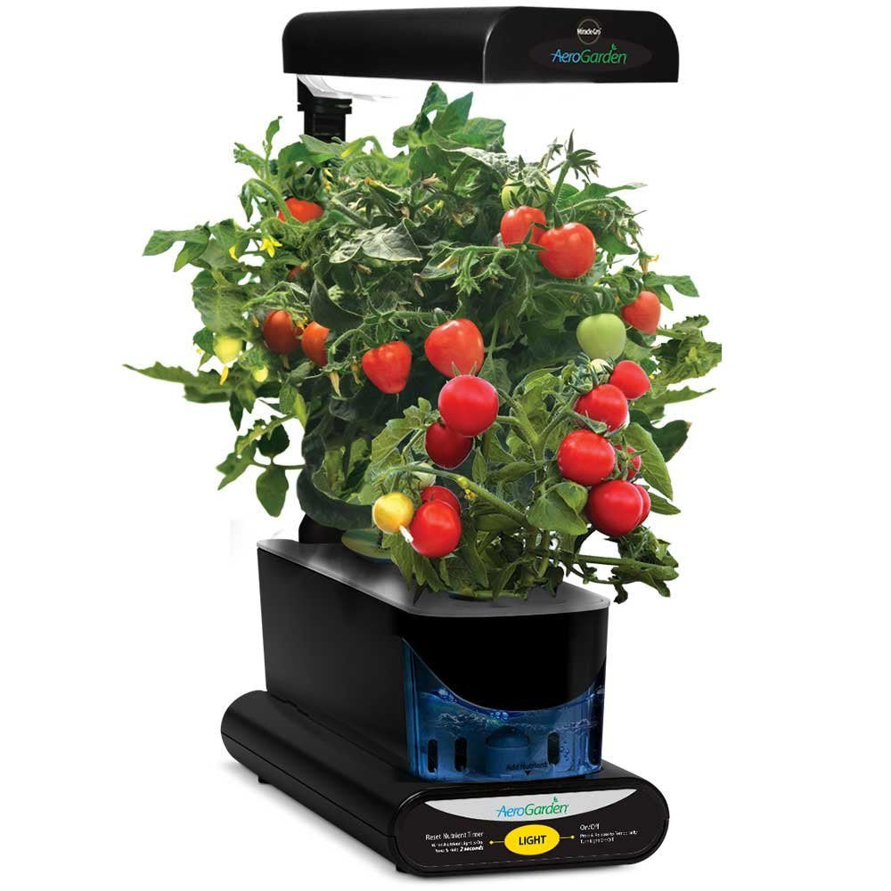 Miracle-Gro AeroGarden Sprout with Gourmet Herb Seed Pod Kit, Black - EarthCitizen
 - 2