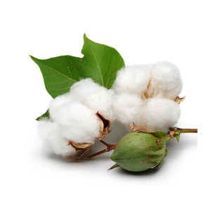 #GrowFood - All Natural - Organic Cotton - Unisex